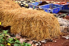 Preparetion of agriculture royalty free stock photo Preparetion of agriculture royalty free stock photo