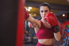 Adult woman boxing in gym stock images Adult woman boxing in gym stock images