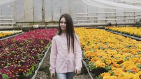 Pretty long-haired young girl walks in greenhouse with smile stock footage Pretty long-haired young girl walks in greenhouse with smile stock footage