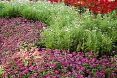 Pretty manicured flower garden Stock Image Pretty manicured flower garden Stock Image