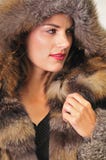 Pretty woman wearing a brown fur coat. Beautiful young woman wearing a luxurious fur coat with a hood Stock Photo Pretty woman wearing a brown fur coat. Beautiful young woman wearing a luxurious fur coat with a hood Stock Photo