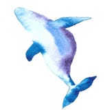 Prima αγγλικής μπύρας γαλάζιων φαλαινών Watercolor ελεύθερη απεικόνιση δικαιώματος Prima αγγλικής μπύρας γαλάζιων φαλαινών Watercolor ελεύθερη απεικόνιση δικαιώματος