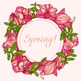 Primavera! Struttura rotonda con i fiori Amaryllis, il hippeastrum e la crassula dei succulenti Congratulazioni, carta dell'invit Fotografia Stock Libera da Diritti Primavera! Struttura rotonda con i fiori Amaryllis, il hippeastrum e la crassula dei succulenti Congratulazioni, carta dell'invit Fotografia Stock Libera da Diritti