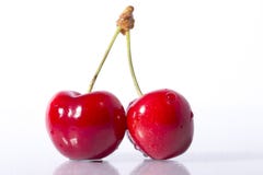Primer de dos cerezas en el fondo blanco imagen de archivo Primer de dos cerezas en el fondo blanco imagen de archivo