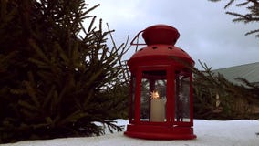 Primer de la linterna de la Navidad La linterna roja de la Navidad coloca el unde debajo de un abeto de la Navidad Linterna con l metrajes Primer de la linterna de la Navidad La linterna roja de la Navidad coloca el unde debajo de un abeto de la Navidad Linterna con l metrajes