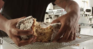 Primer de la torta del bollo de leche Textura de la torta con las pasas almacen de metraje de vídeo Primer de la torta del bollo de leche Textura de la torta con las pasas almacen de metraje de vídeo