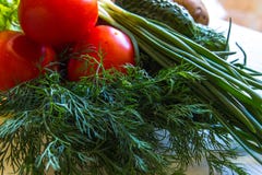 Primer de las hojas de la ensalada, de los tomates y de la rama fresca de los pepinos del eneldo imagenes de archivo Primer de las hojas de la ensalada, de los tomates y de la rama fresca de los pepinos del eneldo imagenes de archivo