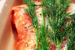 Primer del eneldo en una porción del gravlax imagenes de archivo Primer del eneldo en una porción del gravlax imagenes de archivo