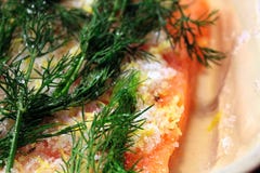 Primer del eneldo en una porción del gravlax foto de archivo Primer del eneldo en una porción del gravlax foto de archivo