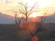 Primeros sol-rayos con un árbol del hoja-descenso imagen de archivo Primeros sol-rayos con un árbol del hoja-descenso imagen de archivo