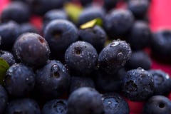 Primo piano dei mirtilli freschi maturi con le gocce di acqua, macro colpo immagini stock Primo piano dei mirtilli freschi maturi con le gocce di acqua, macro colpo immagini stock