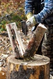 Primo piano del legno di betulla che sono tagliati e di scissione immagine stock libera da diritti Primo piano del legno di betulla che sono tagliati e di scissione immagine stock libera da diritti