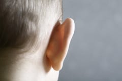 Primo piano dell'orecchio del bambino immagine stock Primo piano dell'orecchio del bambino immagine stock