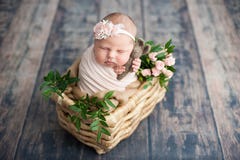 Principio de la vida y del concepto mágico de hadas feliz de la niñez el viejo bebé recién nacido sonriente de diez días está dur fotos de archivo libres de regalías Principio de la vida y del concepto mágico de hadas feliz de la niñez el viejo bebé recién nacido sonriente de diez días está dur fotos de archivo libres de regalías