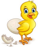Cartoon little chick with egg vector illustration Cartoon little chick with egg vector illustration