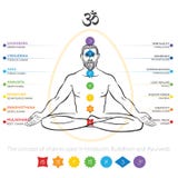Chakras system of human body - used in Hinduism, Buddhism and Ayurveda. Man in padmasana - lotus asana. For design, associated wit vector illustration Chakras system of human body - used in Hinduism, Buddhism and Ayurveda. Man in padmasana - lotus asana. For design, associated wit vector illustration