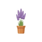 Flower in pots vector illustration isolated on white background stock illustration Flower in pots vector illustration isolated on white background stock illustration