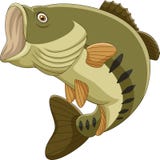 Large Mouth Bass Stock Vectors by Megapixl