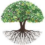 Ancient  tree of life logo