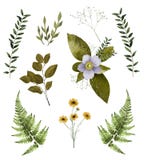 Print with flowers and herbs