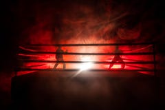 Priorit? bassa vaga fase dell'ottagono di lotta del Muttahida Majlis-E-Amal lo sport estremo dell'anello ha mescolato il torneo d fotografie stock Priorit? bassa vaga fase dell'ottagono di lotta del Muttahida Majlis-E-Amal lo sport estremo dell'anello ha mescolato il torneo d fotografie stock