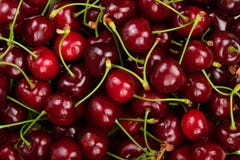 Priorità bassa delle ciliege rosse mature Cibo sano La struttura delle bacche immagini stock libere da diritti Priorità bassa delle ciliege rosse mature Cibo sano La struttura delle bacche immagini stock libere da diritti