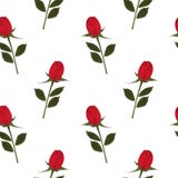 Priorità bassa di rosa di colore rosso Immagini Stock Priorità bassa di rosa di colore rosso Immagini Stock