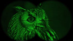 Prismáticos a través vistos bubón eurasiático del bubón del Eagle-búho A través vistos prismáticos con la visión nocturna Observa Prismáticos a través vistos bubón eurasiático del bubón del Eagle-búho A través vistos prismáticos con la visión nocturna Observa