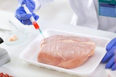 Probe der Chemikalie mit Einspritzung herein zum Testhuhn setzen stockbild Probe der Chemikalie mit Einspritzung herein zum Testhuhn setzen stockbild