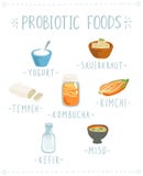 Probiotic ręka Rysująca Foods Wektorowa ilustracja ilustracja wektor Probiotic ręka Rysująca Foods Wektorowa ilustracja ilustracja wektor