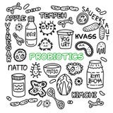 Probiotics βακτηριδίων τροφίμων βακτηριακή πανίδα εντέρων ιατρικής καθορισμένη διανυσματική απεικόνιση Probiotics βακτηριδίων τροφίμων βακτηριακή πανίδα εντέρων ιατρικής καθορισμένη διανυσματική απεικόνιση