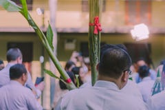 Procesión de los padres del ` s del novio imagen de archivo libre de regalías Procesión de los padres del ` s del novio imagen de archivo libre de regalías