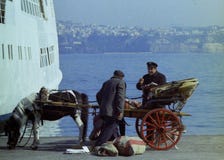PROCIDA, ΙΤΑΛΙΑ, 1974 - ιταλικός ταχυδρόμος με το κάρρο και άλογο με τους ταχυδρομικούς σάκους στην αποβάθρα Procida στοκ εικόνες με δικαίωμα ελεύθερης χρήσης PROCIDA, ΙΤΑΛΙΑ, 1974 - ιταλικός ταχυδρόμος με το κάρρο και άλογο με τους ταχυδρομικούς σάκους στην αποβάθρα Procida στοκ εικόνες με δικαίωμα ελεύθερης χρήσης