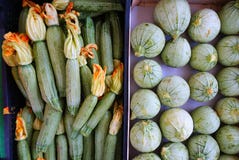 Prodotti organici freschi dell'azienda agricola, zucchini fotografia stock Prodotti organici freschi dell'azienda agricola, zucchini fotografia stock