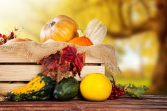 Productos de la agricultura del otoño en la madera Imágenes de archivo libres de regalías Productos de la agricultura del otoño en la madera Imágenes de archivo libres de regalías