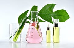 Produits de beauté naturels de soins de la peau, extraction organique naturelle de botanique et verrerie scientifique photos libres de droits Produits de beauté naturels de soins de la peau, extraction organique naturelle de botanique et verrerie scientifique photos libres de droits