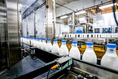 Produção de leite na fábrica imagem de stock Produção de leite na fábrica imagem de stock