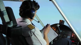 Professionele proef invullend vluchtdocumenten terwijl het vliegen van vliegtuig, beroep stock videobeelden Professionele proef invullend vluchtdocumenten terwijl het vliegen van vliegtuig, beroep stock videobeelden