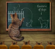 Professor do gato e seus alunos imagens de stock royalty free Professor do gato e seus alunos imagens de stock royalty free