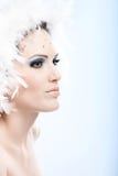 Profil de jeune beauté d'hiver photos stock Profil de jeune beauté d'hiver photos stock