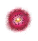 Progettazione del fiore dell'acquerello illustrazione vettoriale Progettazione del fiore dell'acquerello illustrazione vettoriale