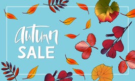 Progettazione dell'insegna Autumn Sale Lettering con le foglie illustrazione vettoriale Progettazione dell'insegna Autumn Sale Lettering con le foglie illustrazione vettoriale