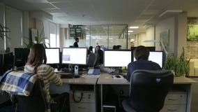 Programmeurs fonctionnant dans le bureau Programmeurs fonctionnant dans le bureau
