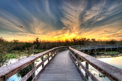 Promenade aan het Branden van Hemel - Anhinga-de Zonsondergang van Sleepeverglades Promenade aan het Branden van Hemel - Anhinga-de Zonsondergang van Sleepeverglades