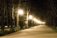 Promenade en stationnement la nuit images stock Promenade en stationnement la nuit images stock