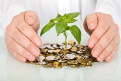 Protección de una inversión y de un concepto del dinero imagen de archivo Protección de una inversión y de un concepto del dinero imagen de archivo