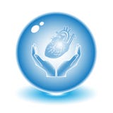 Protection of heart vector illustration Protection of heart vector illustration
