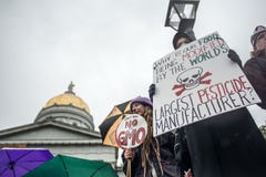 Protest anti-Monsanto royalty-vrije stock fotografie Protest anti-Monsanto royalty-vrije stock fotografie