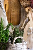 Provence style kitchen interior, white wooden wall, cutting board, utensils, rattan coaster, linen towel, fresh garden herbs rosem