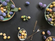 prugne e mirabelle sull'piatti ceramici sui precedenti neri fotografia stock prugne e mirabelle sull'piatti ceramici sui precedenti neri fotografia stock